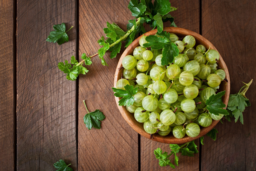 AMLA