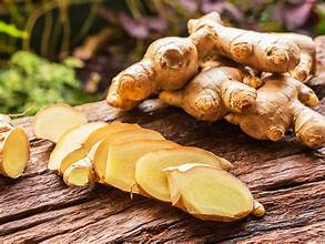 GINGER
