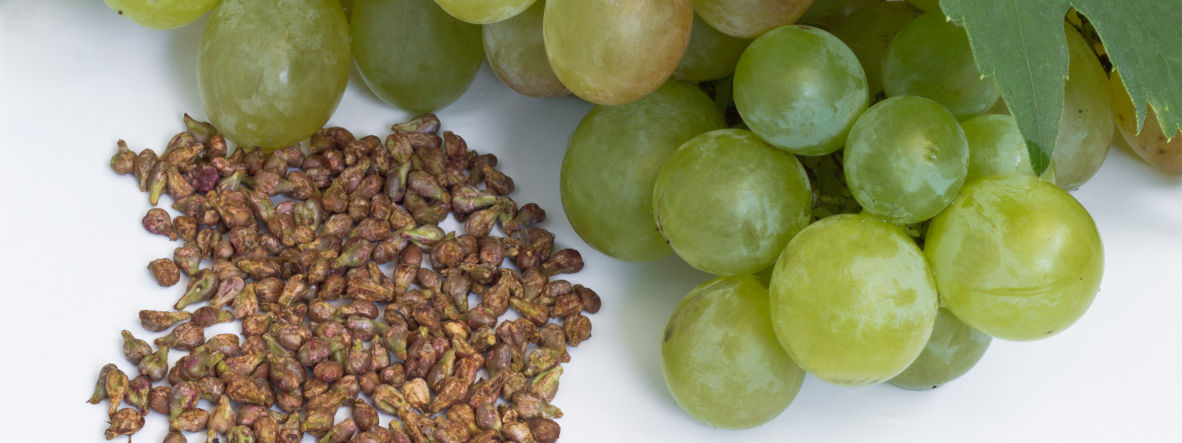 GRAPE SEED