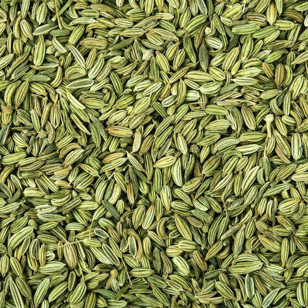 FENNEL